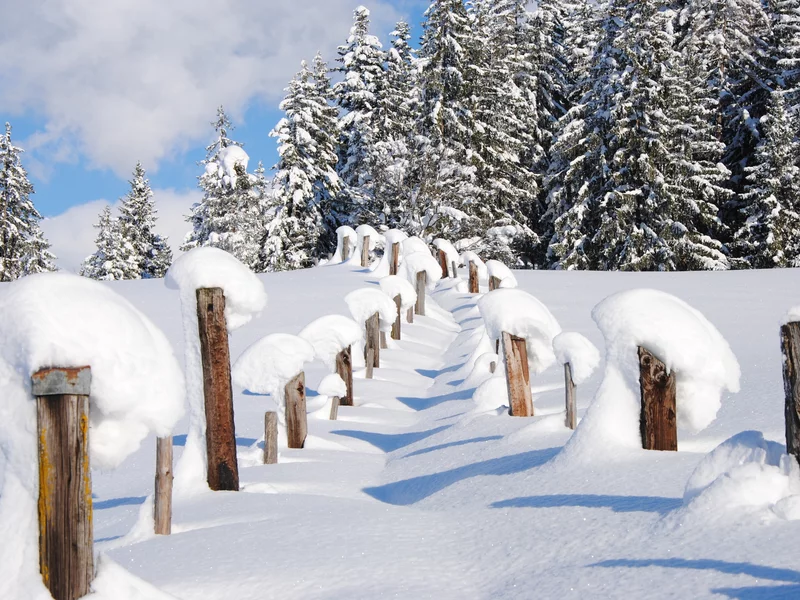 tief verschneite Landschaft zum Winterwandern