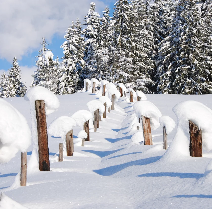 tief verschneite Landschaft zum Winterwandern