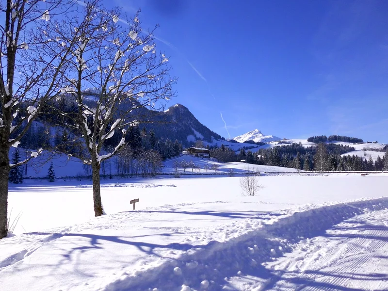 tief verschneite Landschaft zum Winterwandern